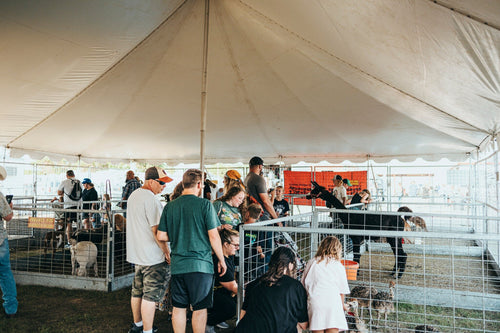 40x40, 40x60, 40x80, 40x100, & 40x120' High Peak Tension Pole Tent