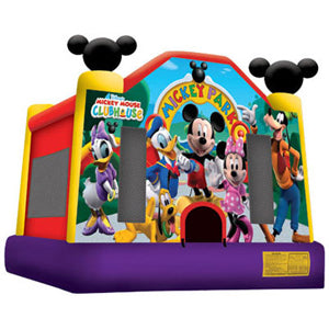 Mickey Park Jump (large)